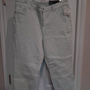 Talbots Mint Slim Ankle Pants – Brand New with Tags, Size 14P